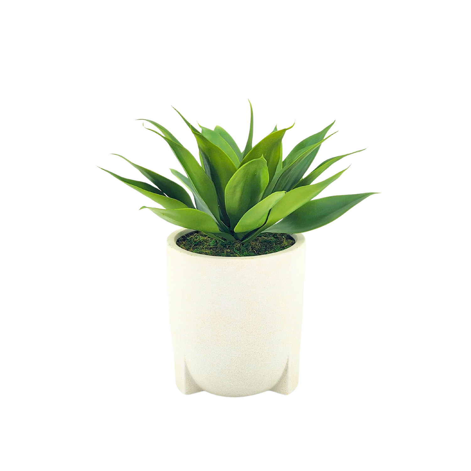 Agave Succulent in White Stone Tripod Ceramic by House of Silk Flowers
