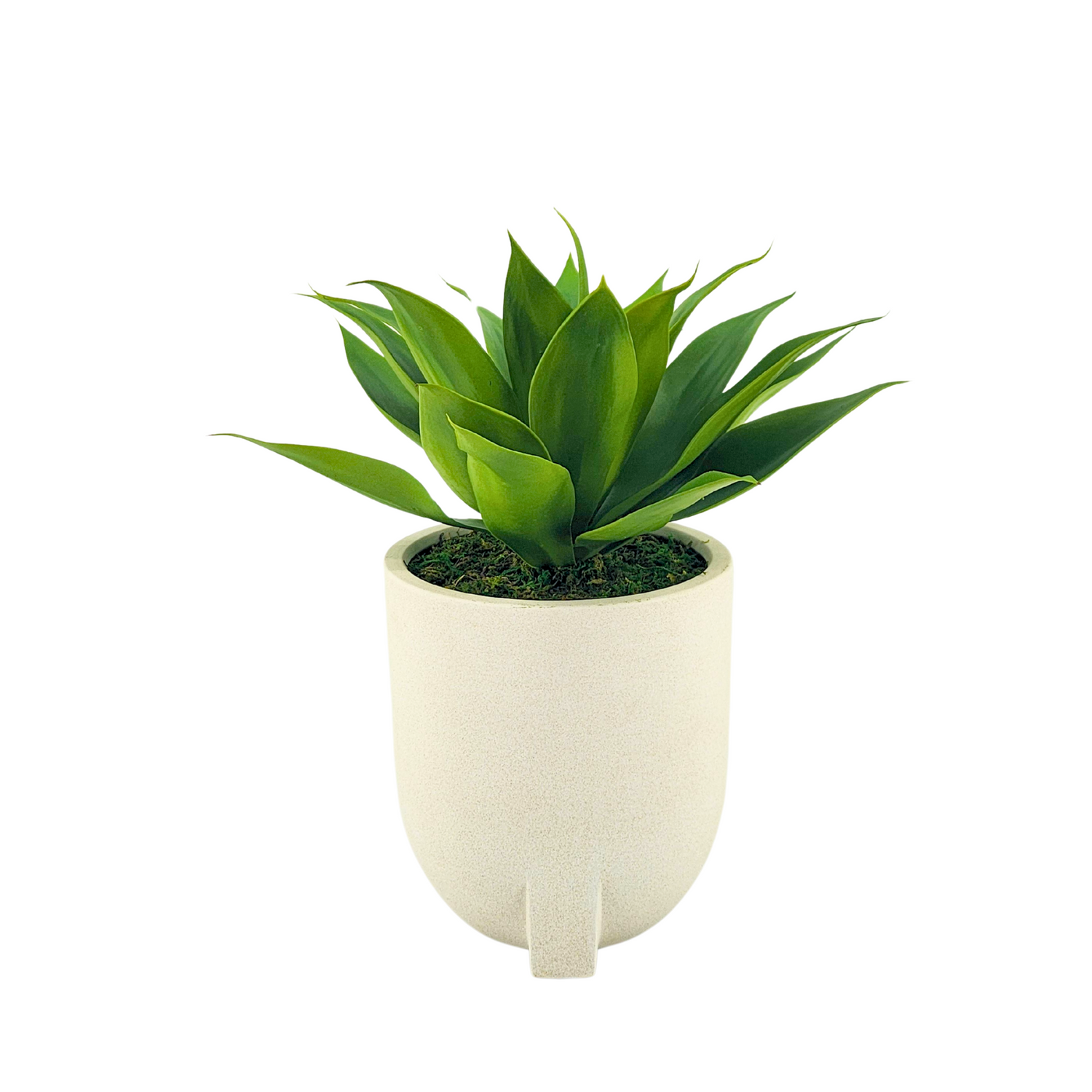 Agave Succulent in White Stone Tripod Ceramic by House of Silk Flowers