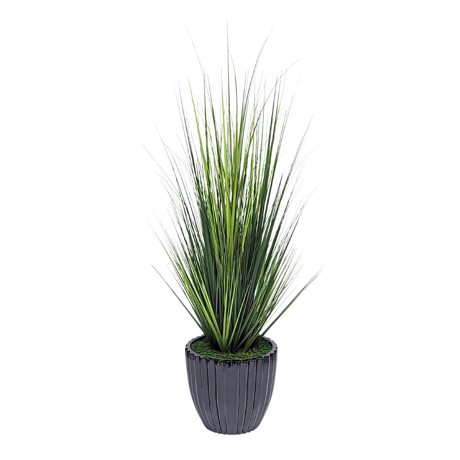 Faux grass in black glossy tapered ceramic by house of silk flowers