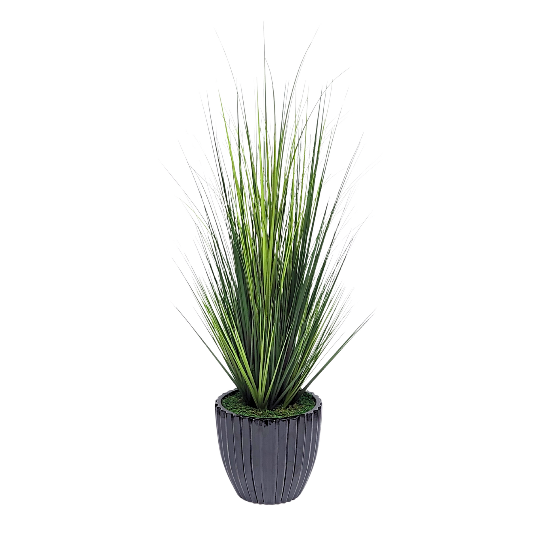 Faux grass in black glossy tapered ceramic by house of silk flowers