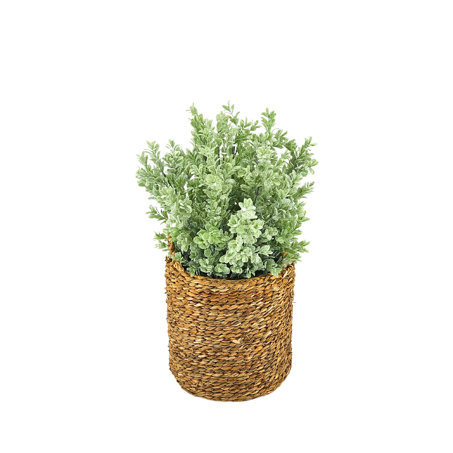 Artificial 20" Eucalyptus in Small Woven Basket