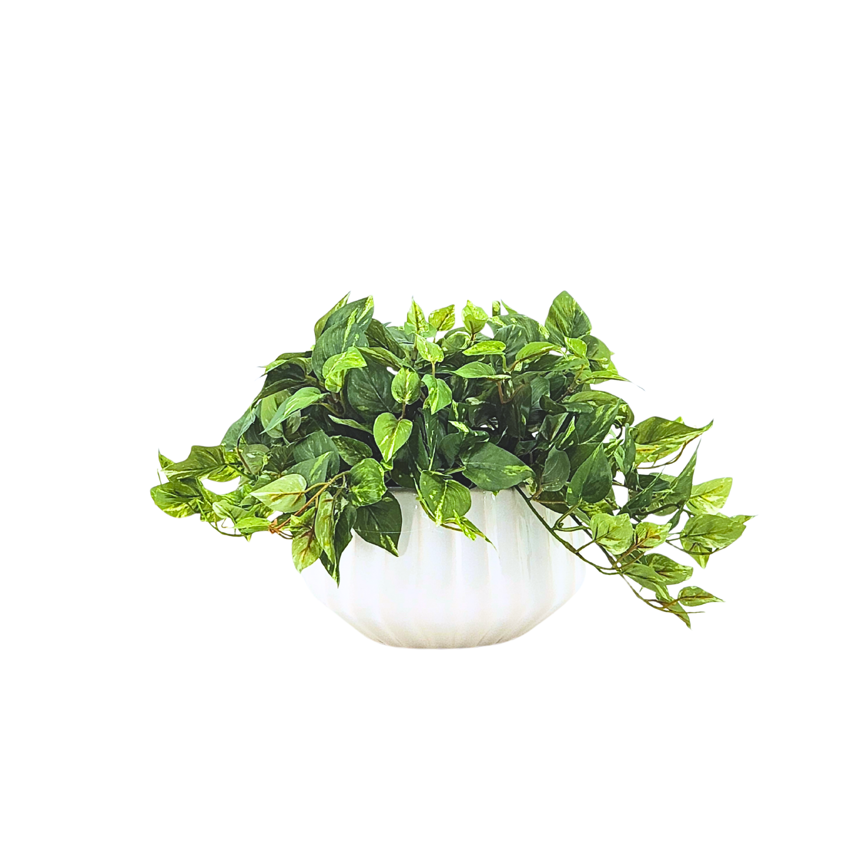 Artificial green plant in a white pot on a white background by House of Silk Flowers