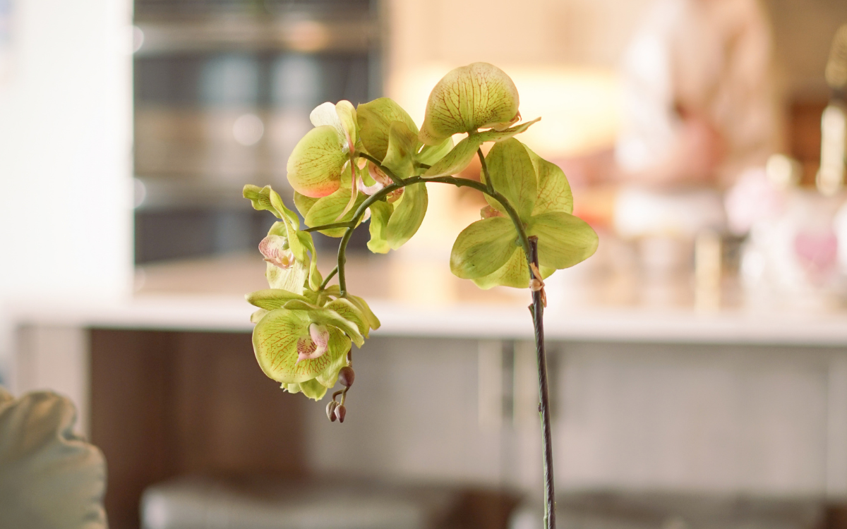 House of Silk Flowers®