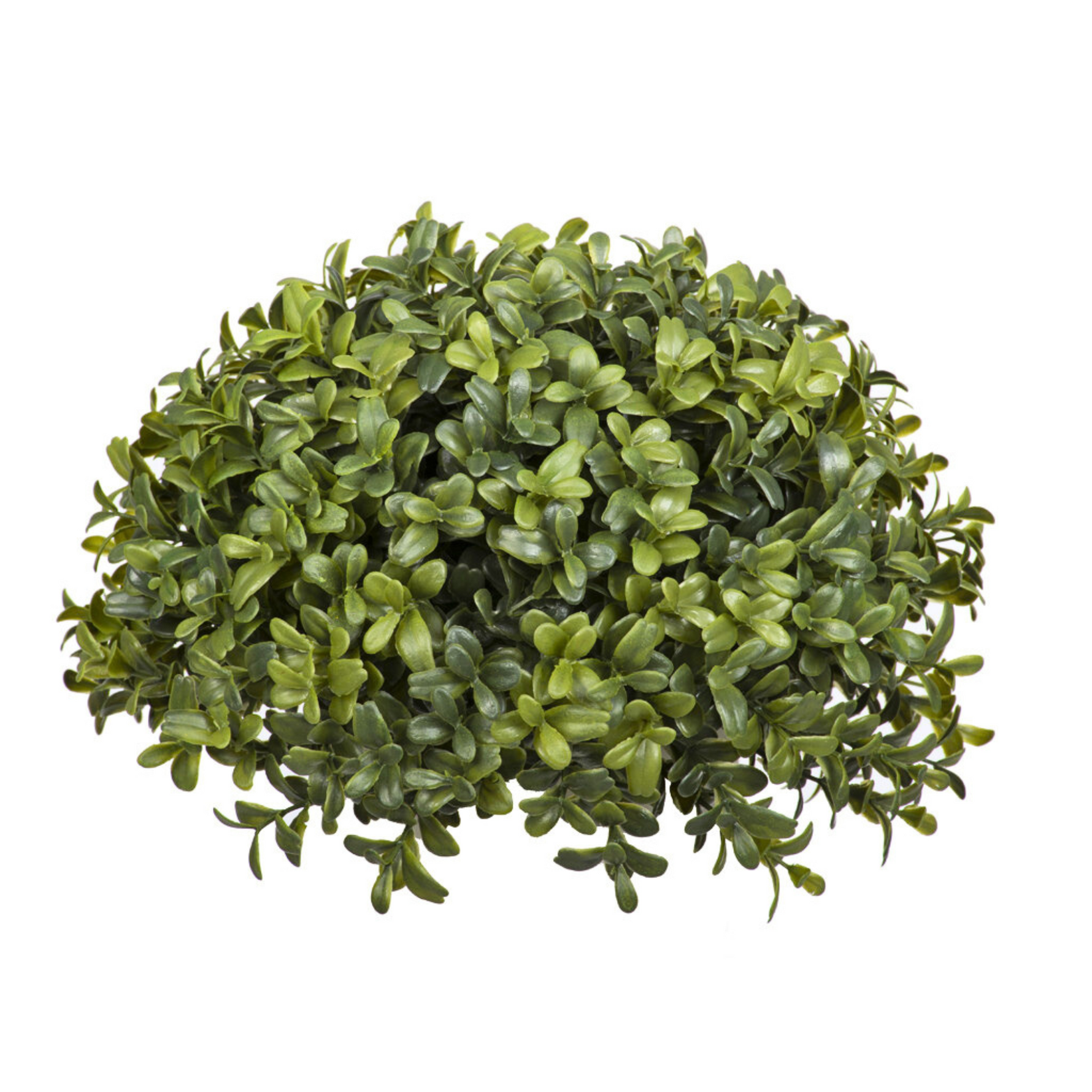 Artificial boxwood ball against a white background