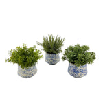 Faux Herbs in Blue Toile Ceramic Vases (Set of 3)