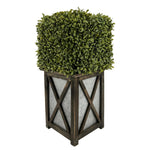 Faux Boxwood Square Topiary in Crisscross Stout Wood/Metal