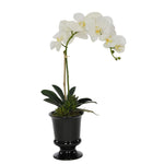 Artificial Phalaenopsis Orchid in Black Ceramic Urn - House of Silk Flowers®
 - 3