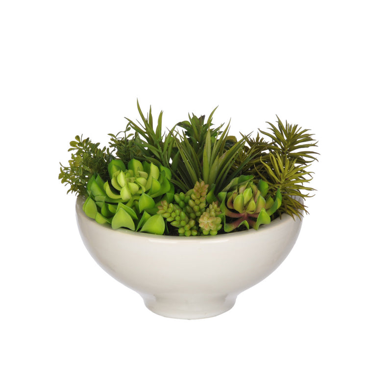 Artificial Succulent Garden in Ceramic Bowl - House of Silk Flowers®
 - 2