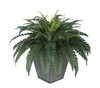 Artificial Fern in Square Zinc Planter - House of Silk Flowers®
 - 10