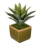 Artificial Succulent in Olive Green Ceramic Vase - House of Silk Flowers®
 - 1