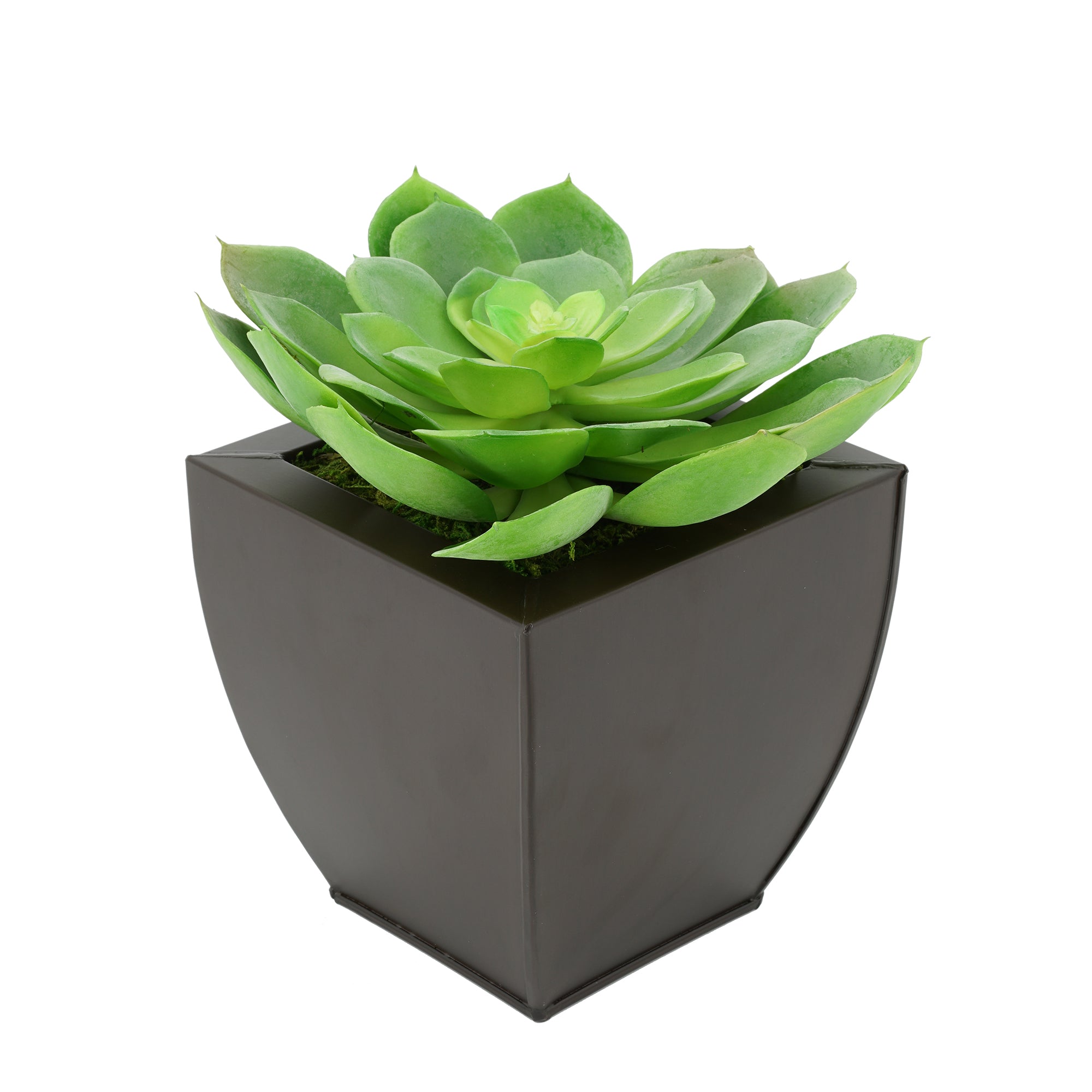 Aloe Succulent, Green, Ribbed Ceramic PotFaux, Watergarden, 9.5 | NDI