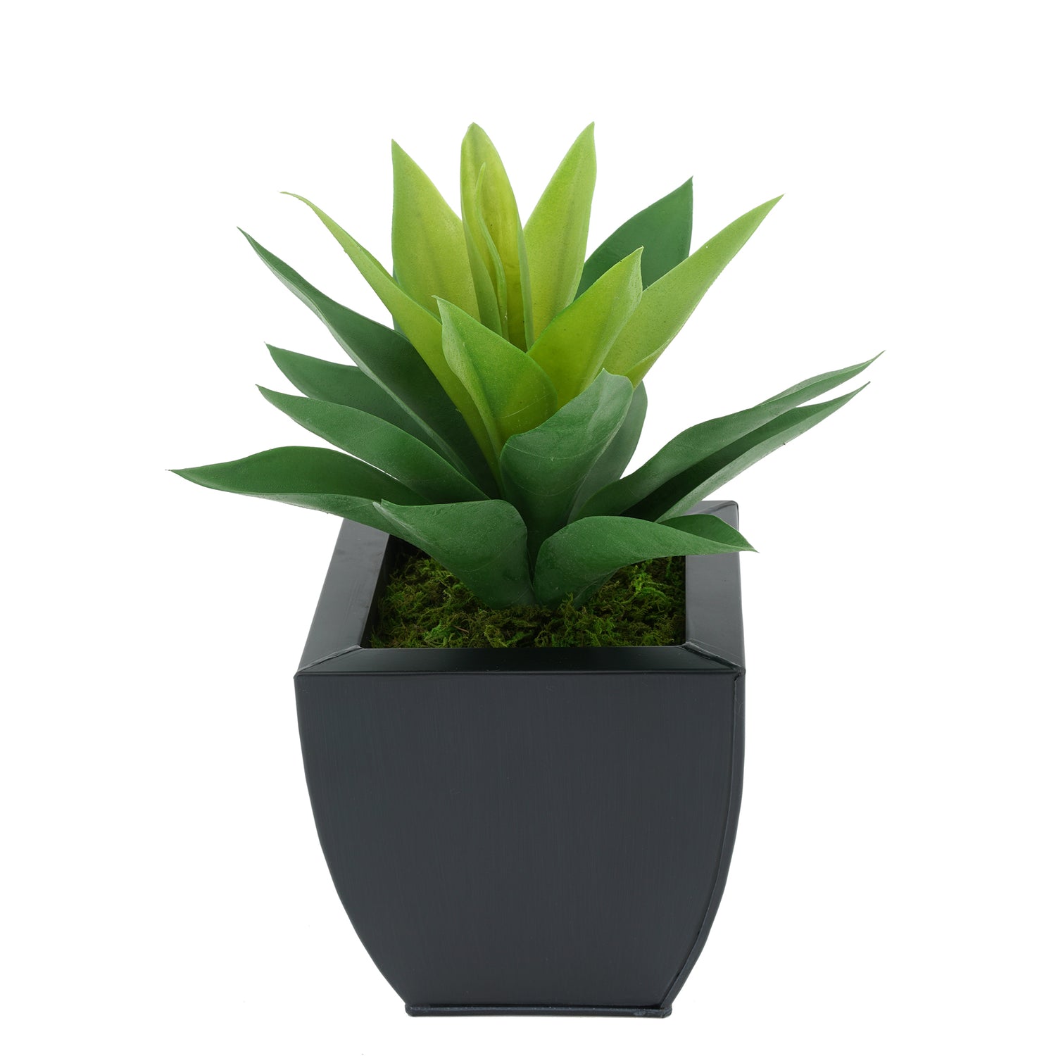 Faux Frosted Light Green Succulent in Black Tapered Zinc Pot