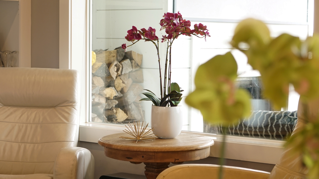 What Makes a House Truly Feel Like a Home?