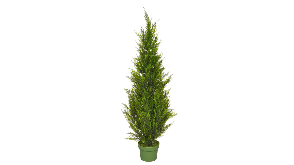 Cedar & Juniper