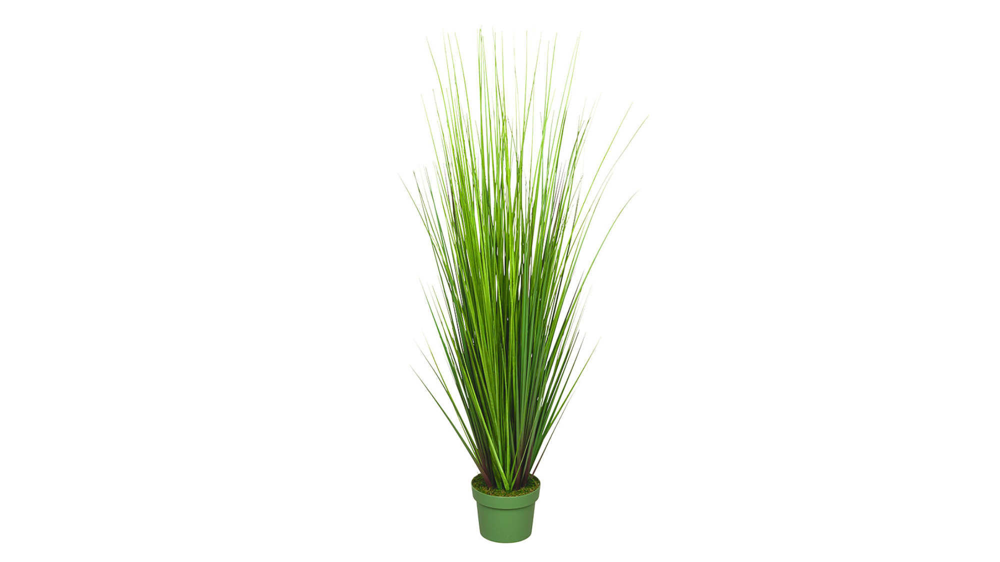 Faux Floor Plants