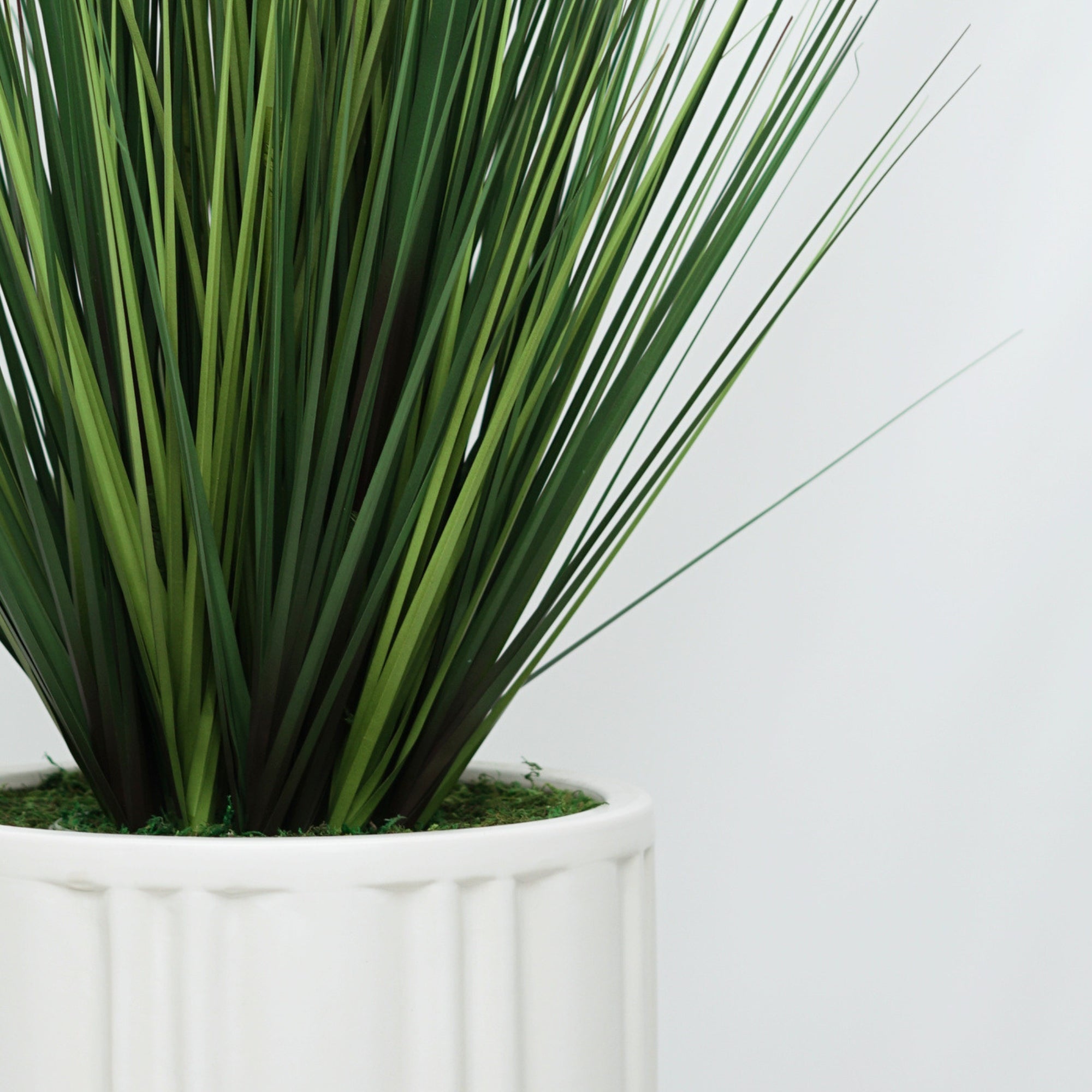 The Grass Collection