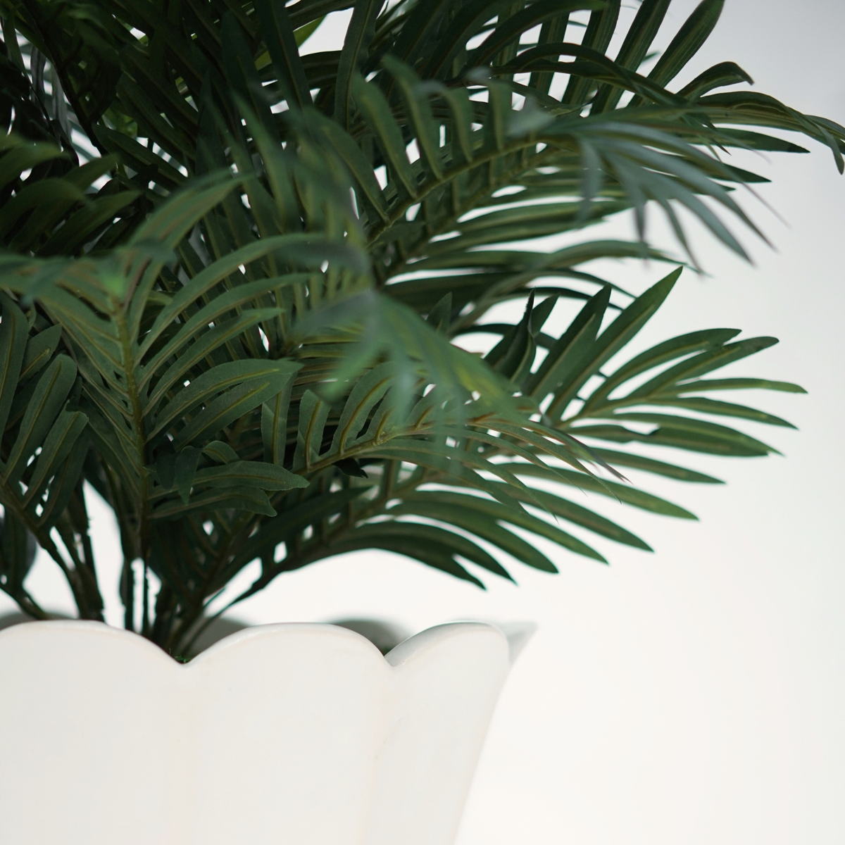 The Urban Jungle Collection