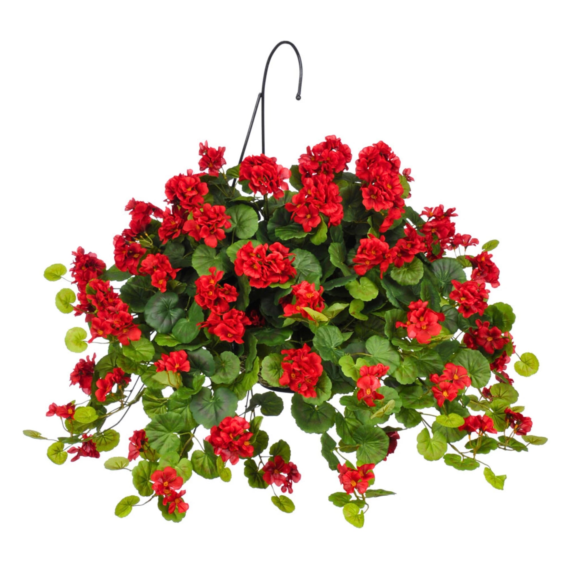 Floral Hanging Baskets