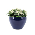 Faux White Kalanchoe Arrangement in a Glossy Navy Blue Ceramic Pot, against a white background, by House of Silk Flowers.