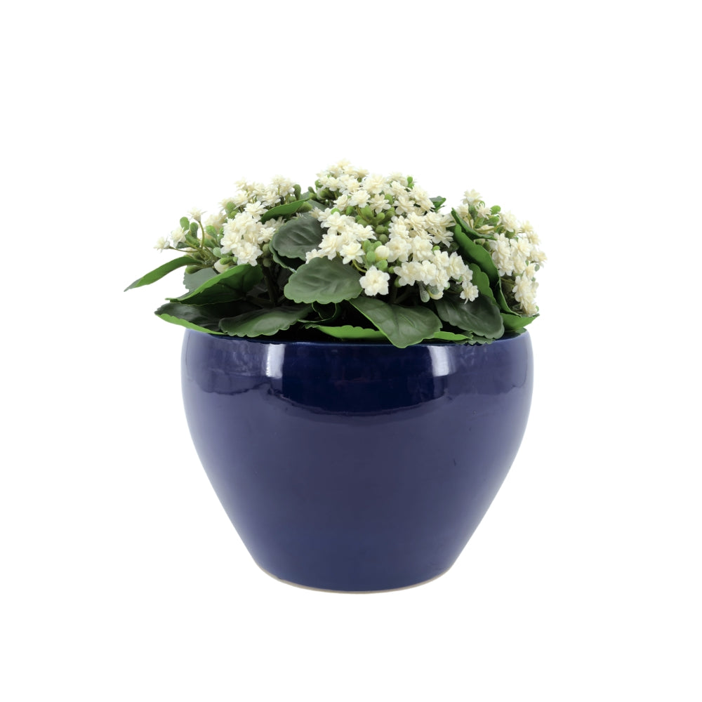 Faux White Kalanchoe Arrangement in a Glossy Navy Blue Ceramic Pot, against a white background, by House of Silk Flowers.