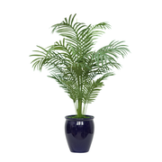 48" Areca Palm in Glossy Blue Ceramic