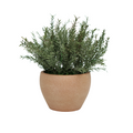 11" Grass in Matte Medium Terracotta Ceramic
