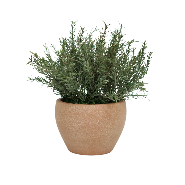 11" Grass in Matte Medium Terracotta Ceramic