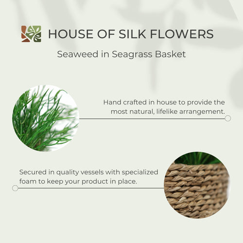 10" Seaweed in Natural Seagrass Basket
