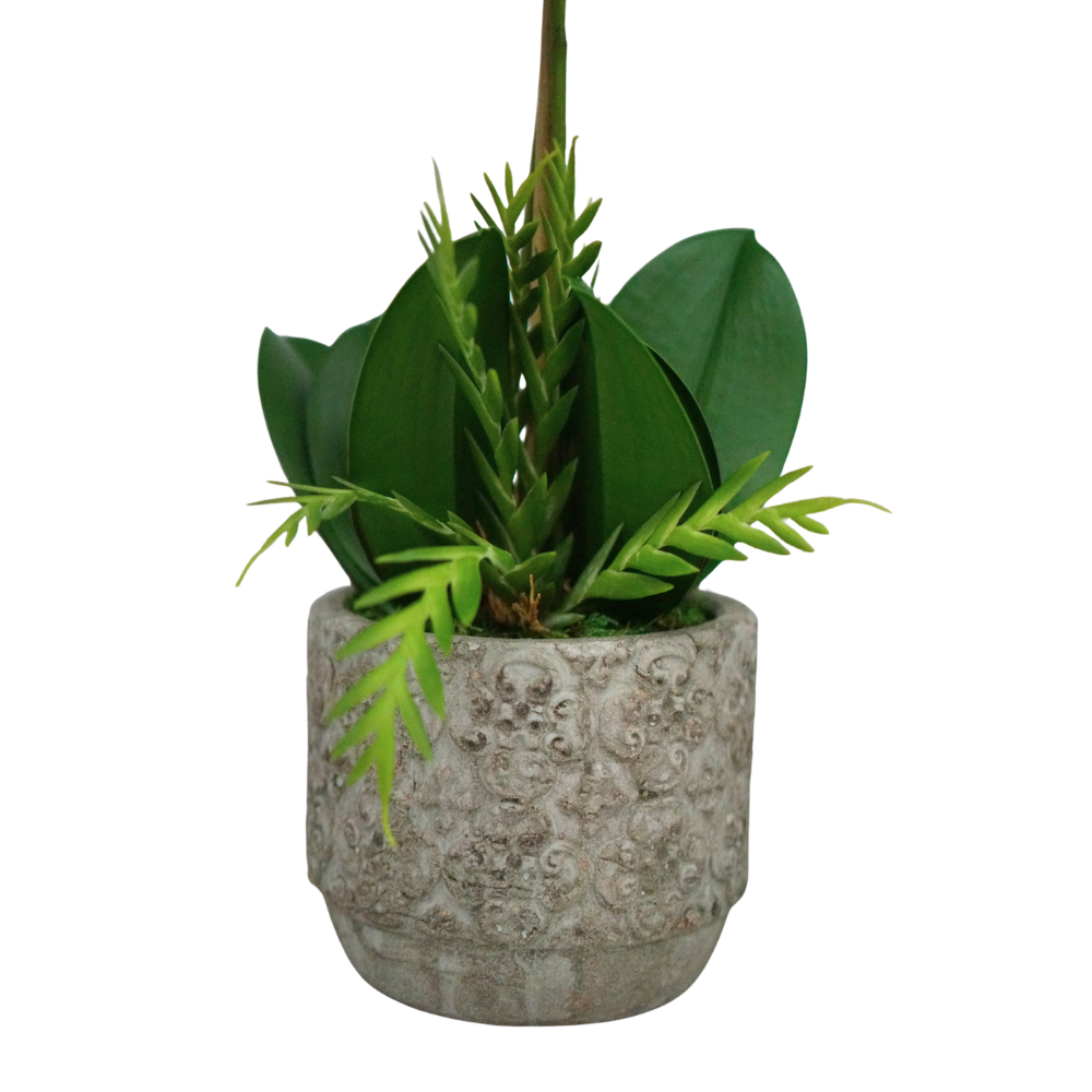 Orange Orchid in Cement Gray Intricate Ceramic