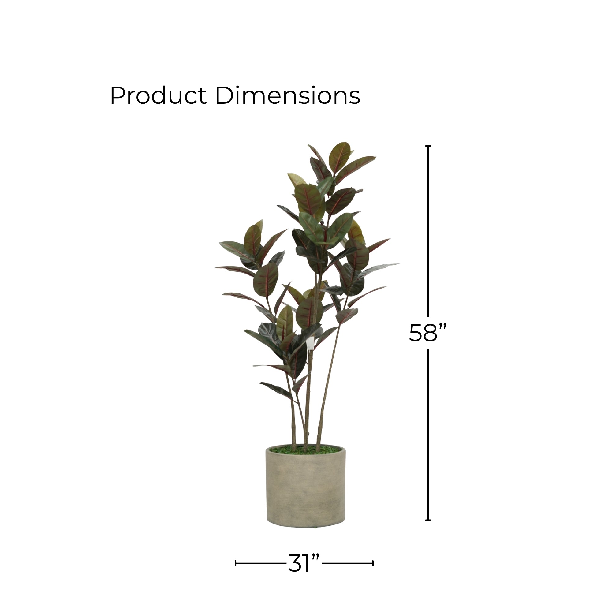 58" Rubber Tree in Cement Gray Ceramic