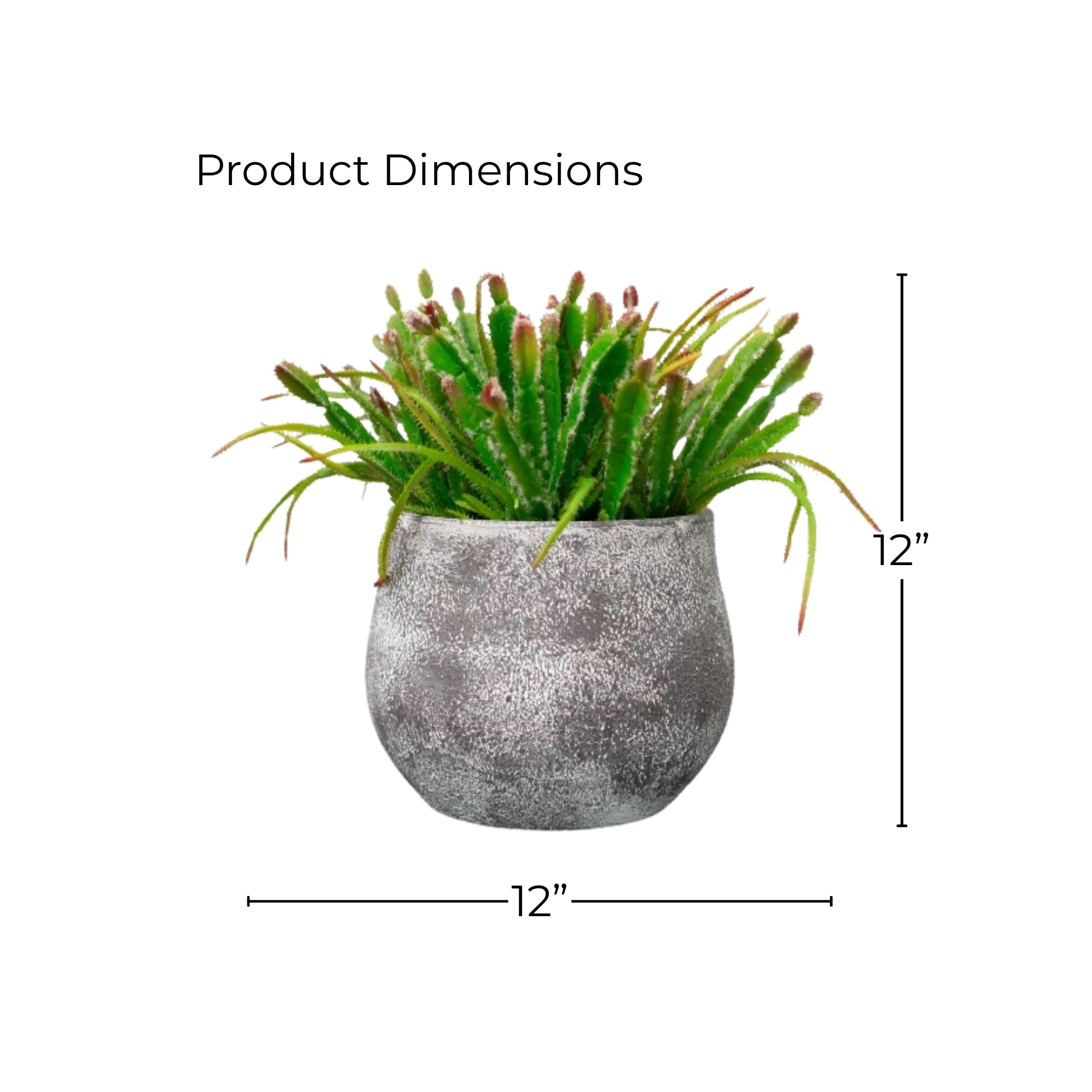 12" Succulent in Cement Gray Ceramic