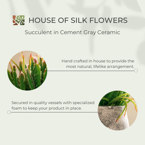 12" Succulent in Cement Gray Ceramic