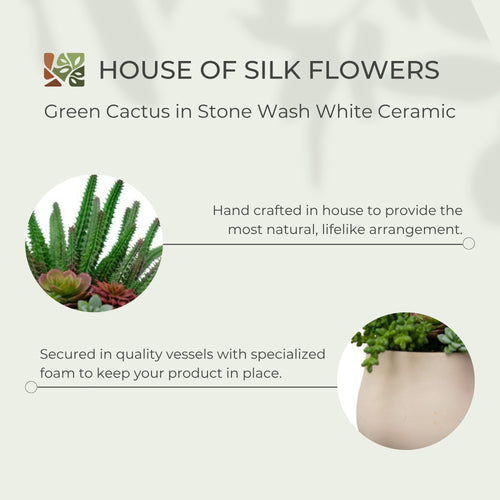 13" Green Cactus in Stone Wash White Ceramic