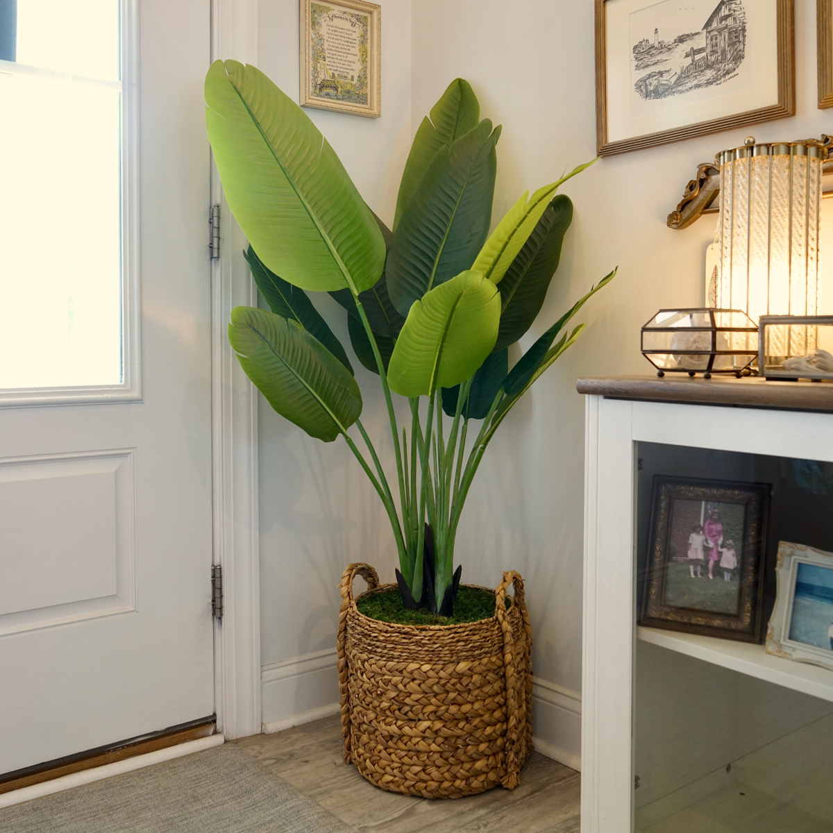 56" Faux Travelers Palm in a Natural Woven Basket