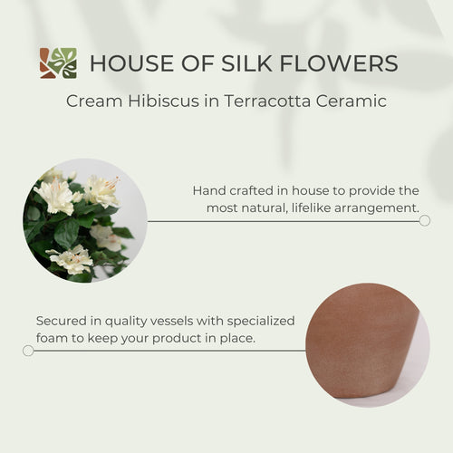 14" Cream Colored Hibiscus in Terracotta Bowl Shaped Ceramic