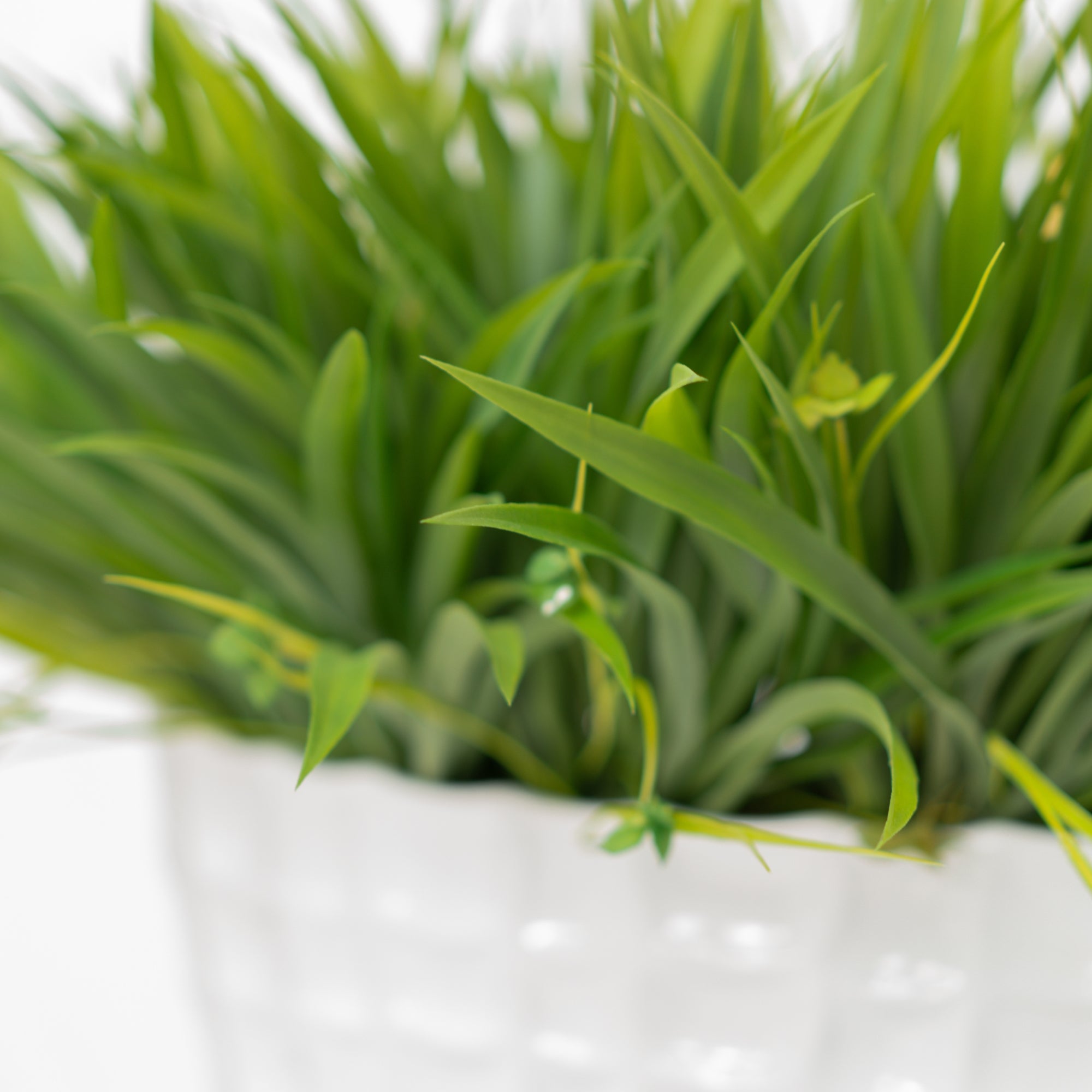 25" Wild Grass in Glossy White Ceramic