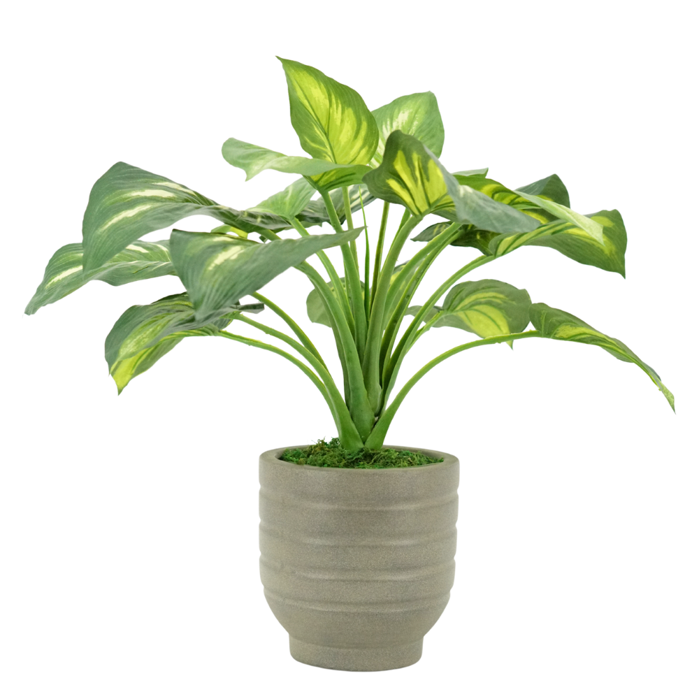23" Small Faux Hosta in Cement Gray Planter