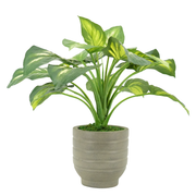 23" Small Faux Hosta in Cement Gray Planter
