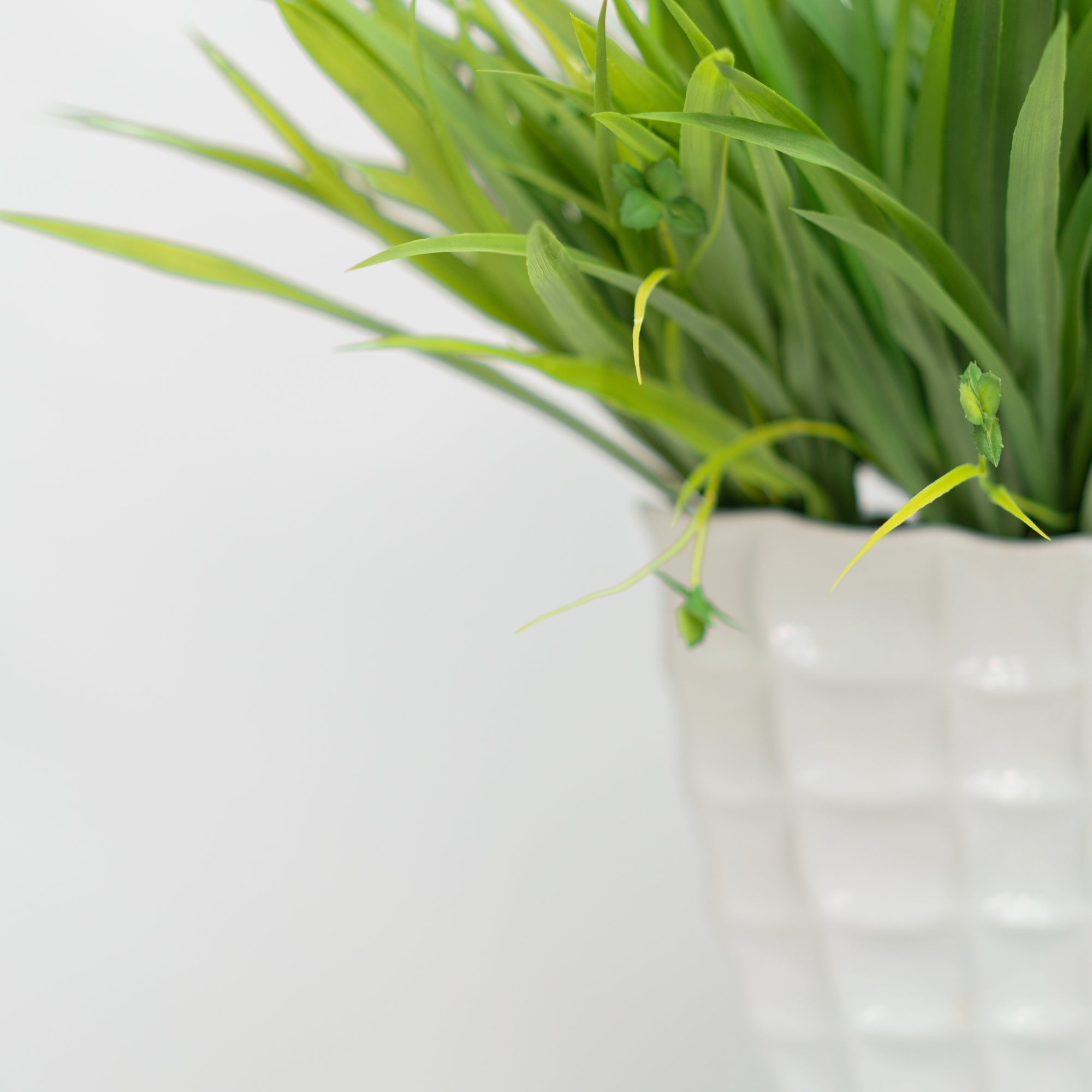 25" Wild Grass in Glossy White Ceramic