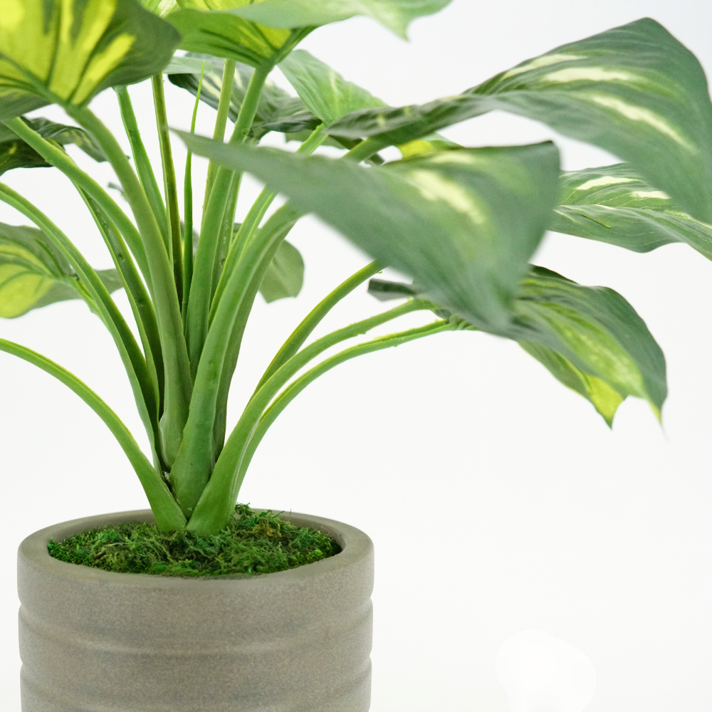 Small Faux Hosta in Cement Gray Planter