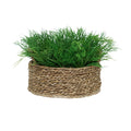 10" Seaweed in Natural Seagrass Basket