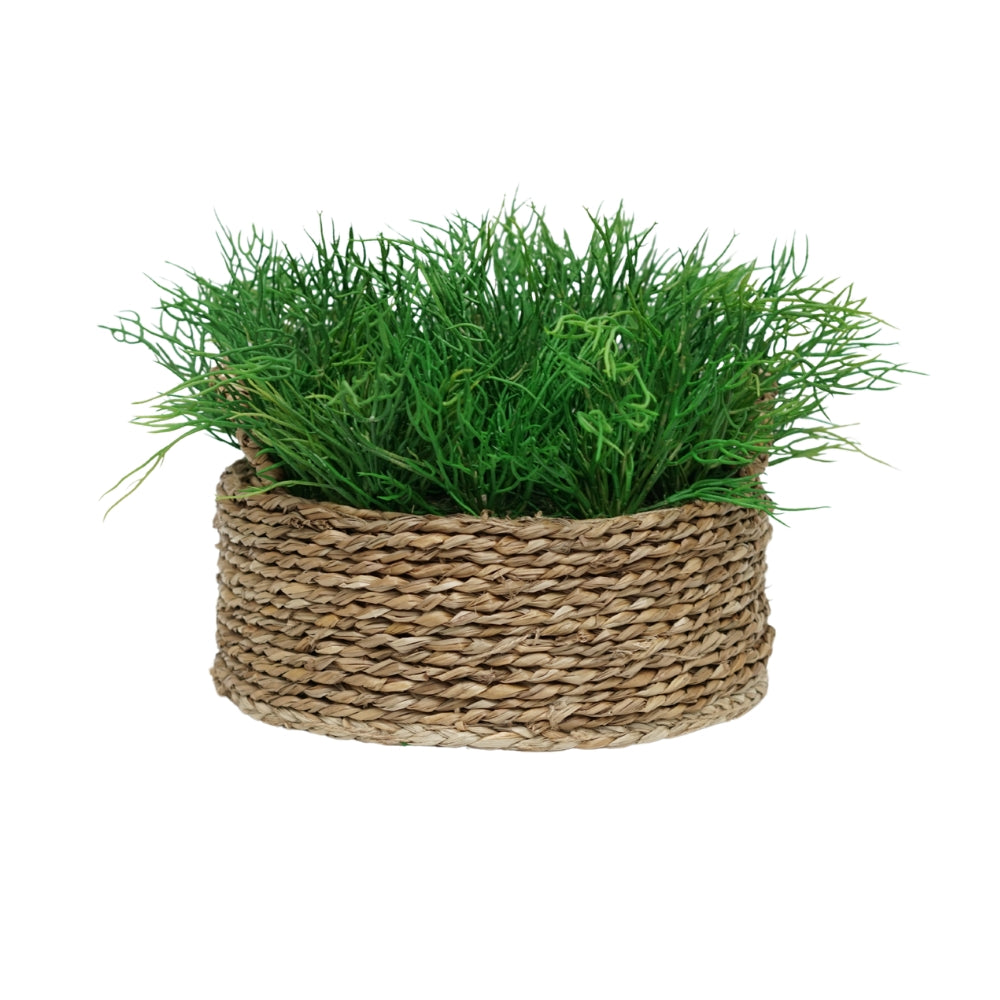 10" Seaweed in Natural Seagrass Basket