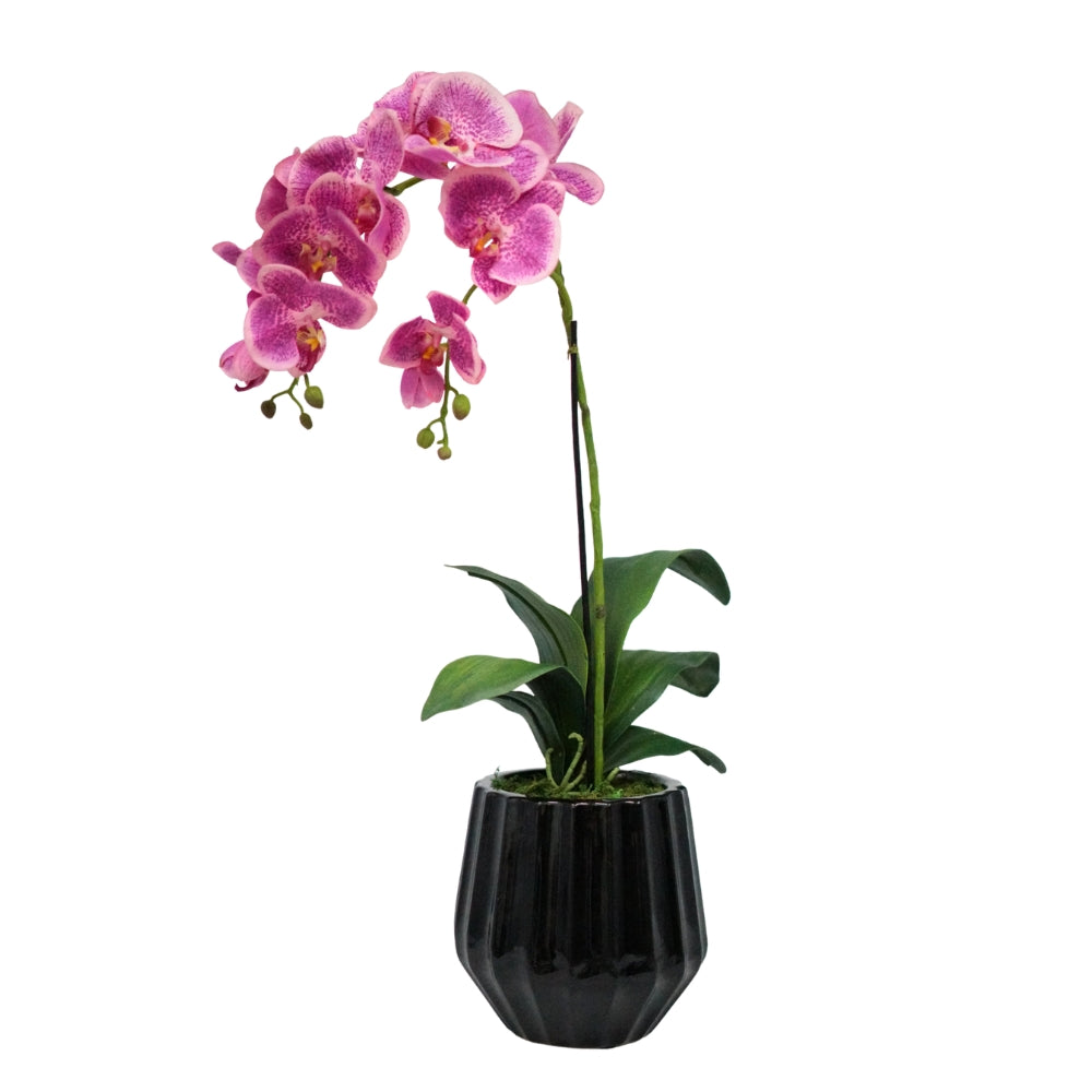 26" Light Purple Orchid in Glossy Black Ribbed Ceramic