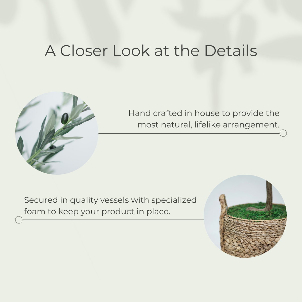 75" Olive Tree in Natural Hyacinth/Seagrass Basket
