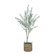 75" Olive Tree in Natural Hyacinth/Seagrass Basket