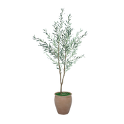 76" Olive Tree in Matte Medium Terracotta Ceramic