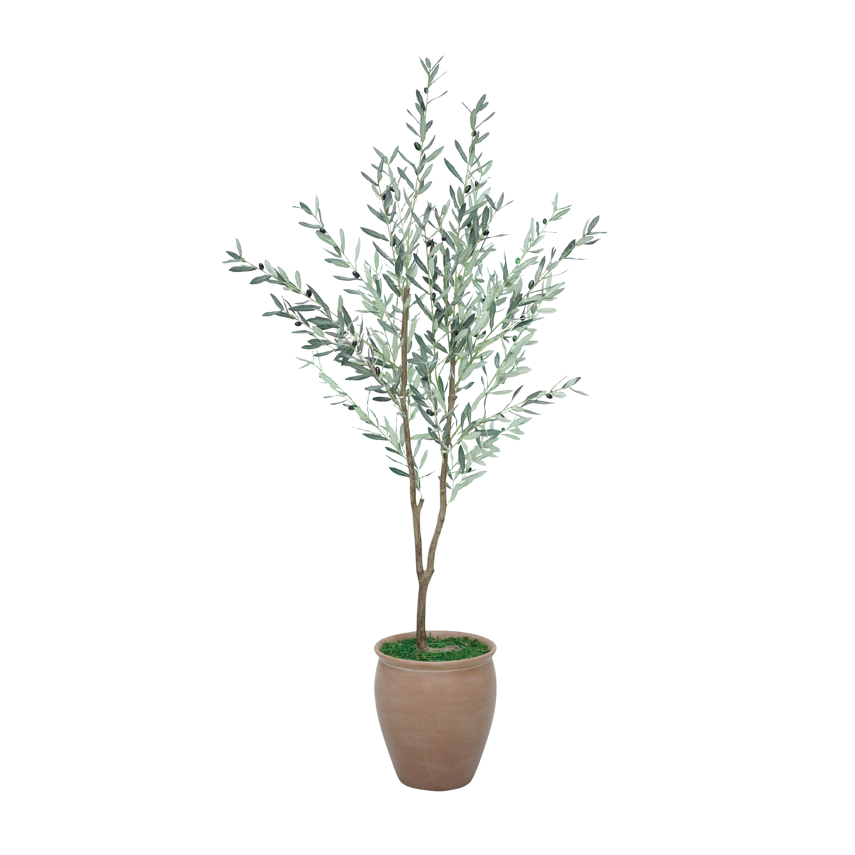 76" Olive Tree in Matte Medium Terracotta Ceramic