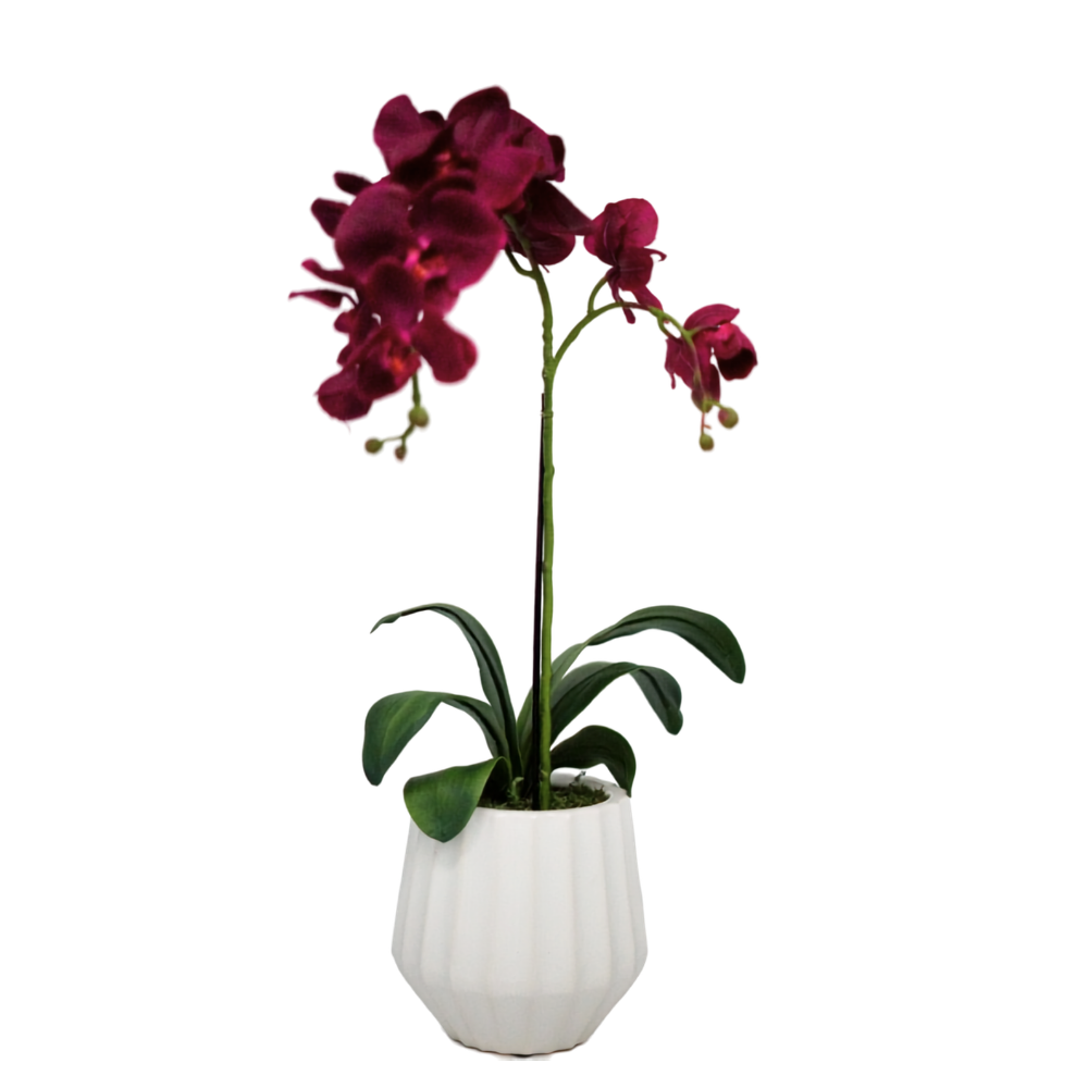 Faux Dark Purple Orchid Flowers in a Glossy White Ribbed Ceramic Pot against a white background, by House of Silk Flowers.