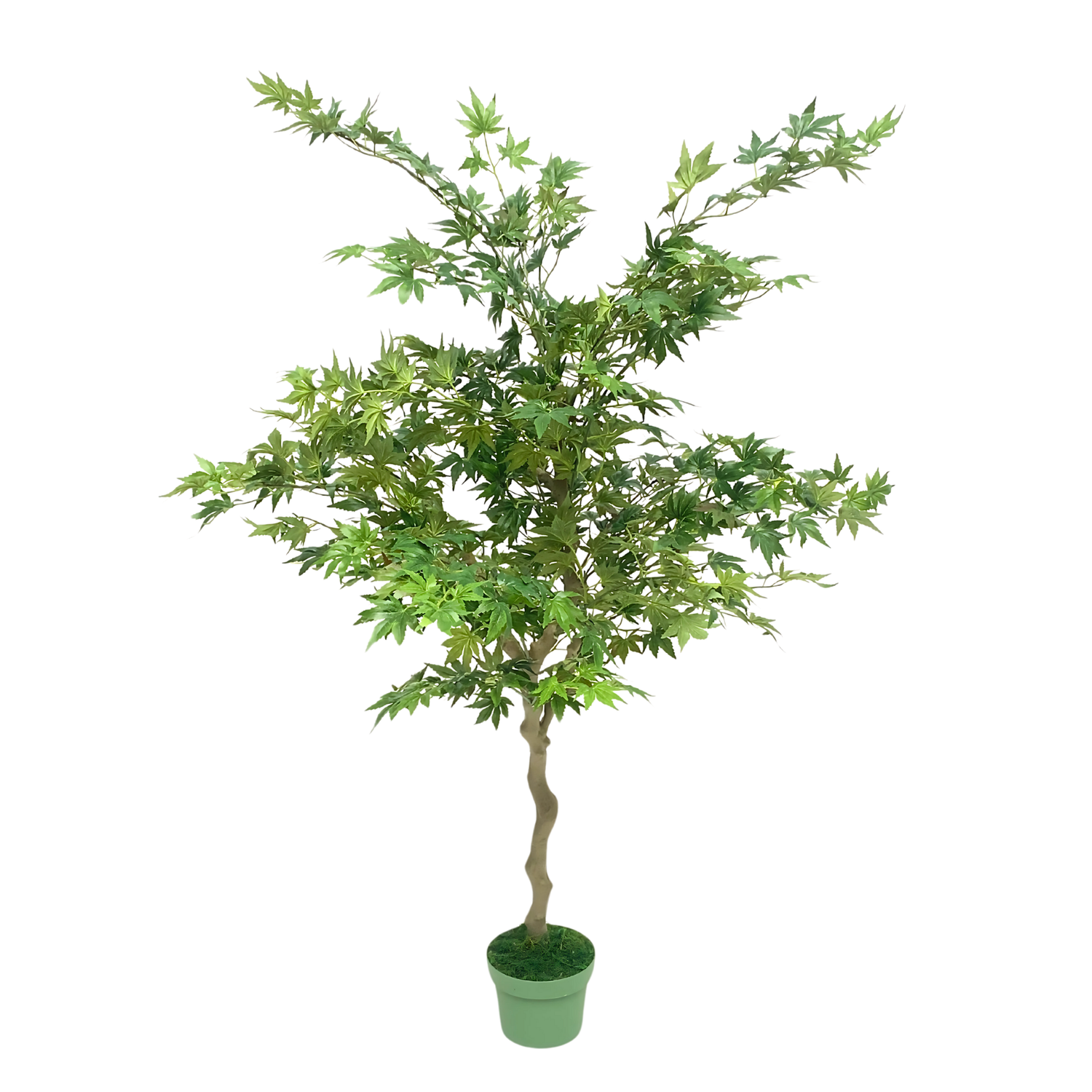 Faux 4ft Japanese Maple Tree