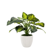 23" Faux Hosta in a Stone Wash White Tapered Ceramic